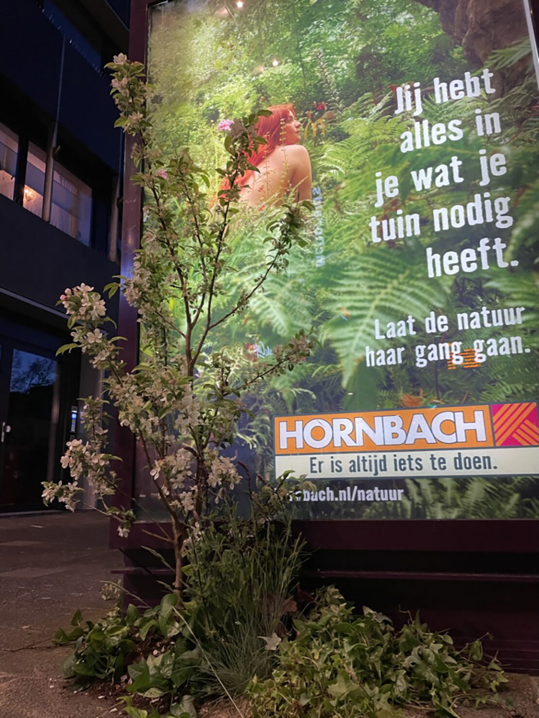 Case: Hornbach impressie 6