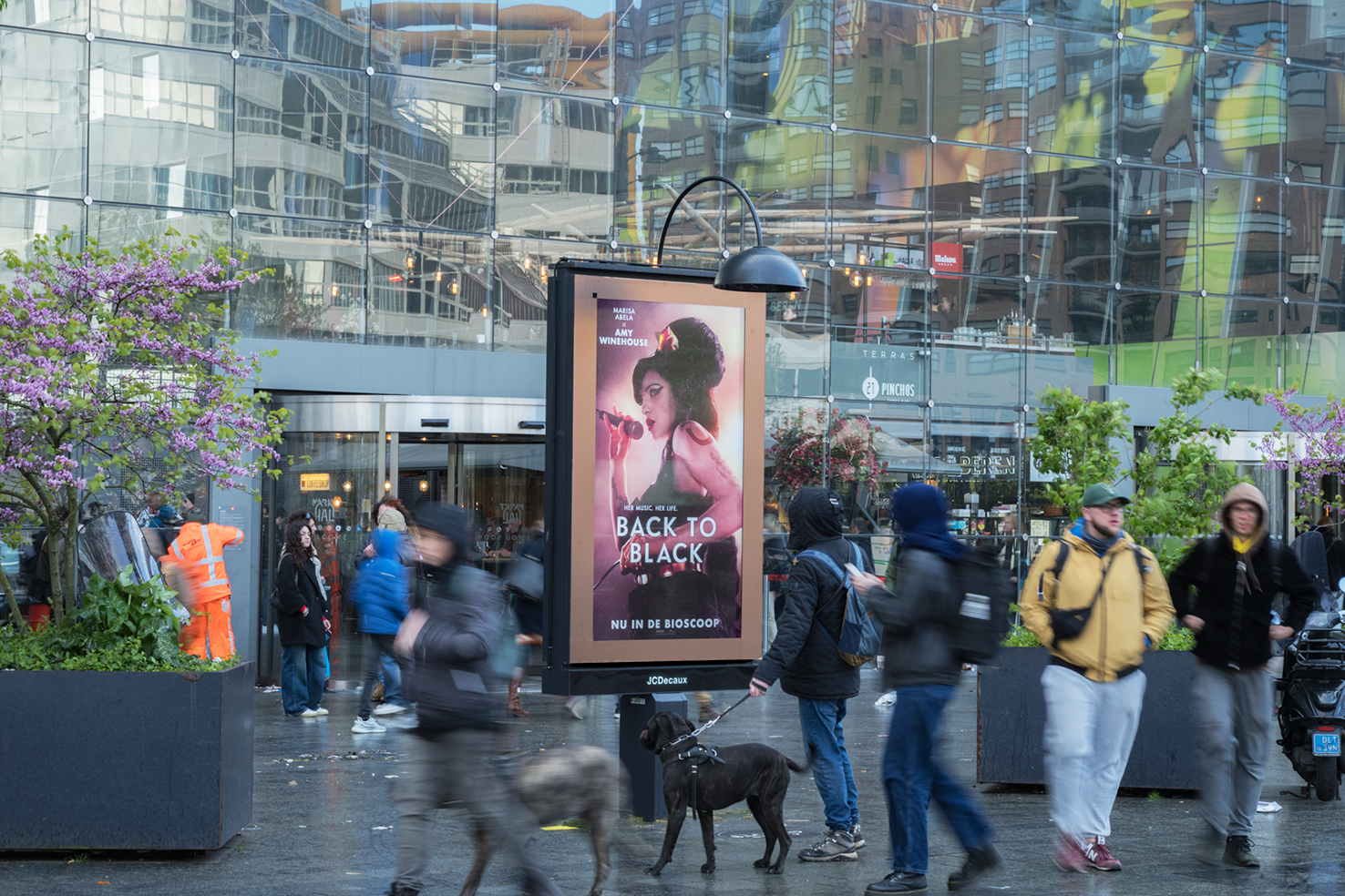 Case: Back to Black impressie 2